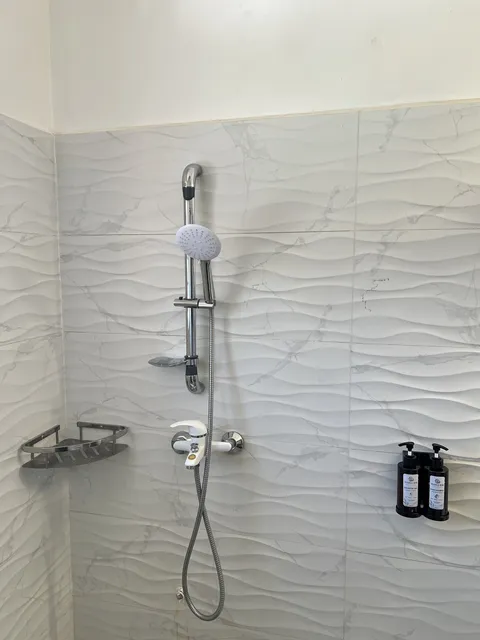 Astra shower area with overhead and handheld shower fittings and wall-mounted toiletries.