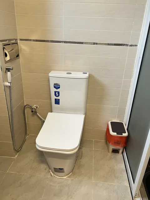 Nova toilet with a handheld bidet spray beside it.